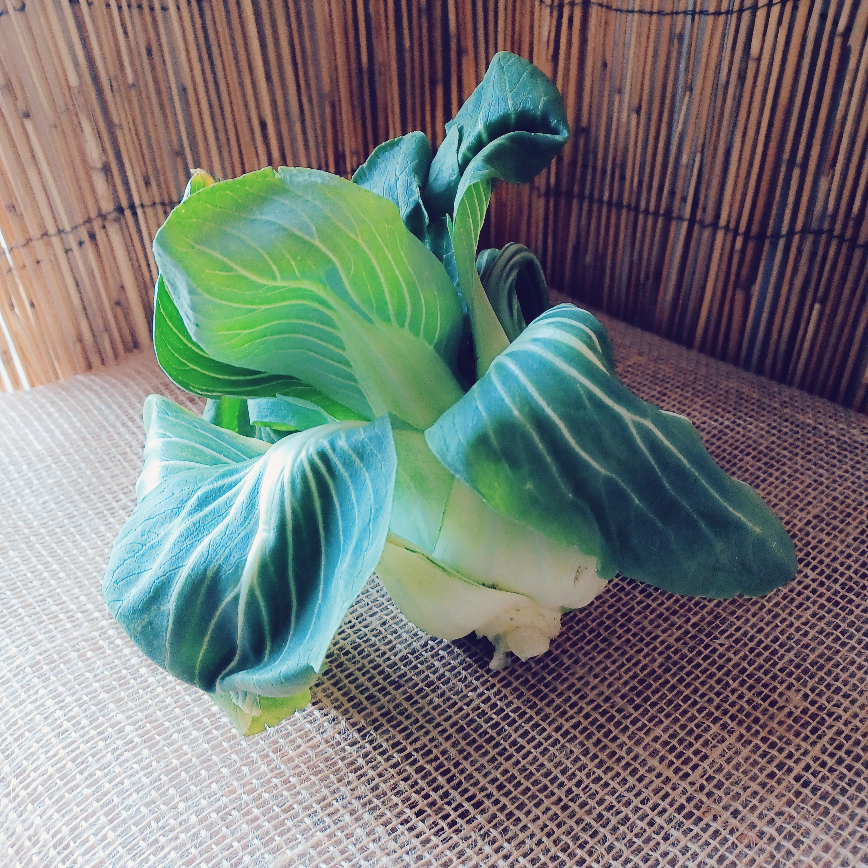 CHOU PAK CHOÏ - 350g