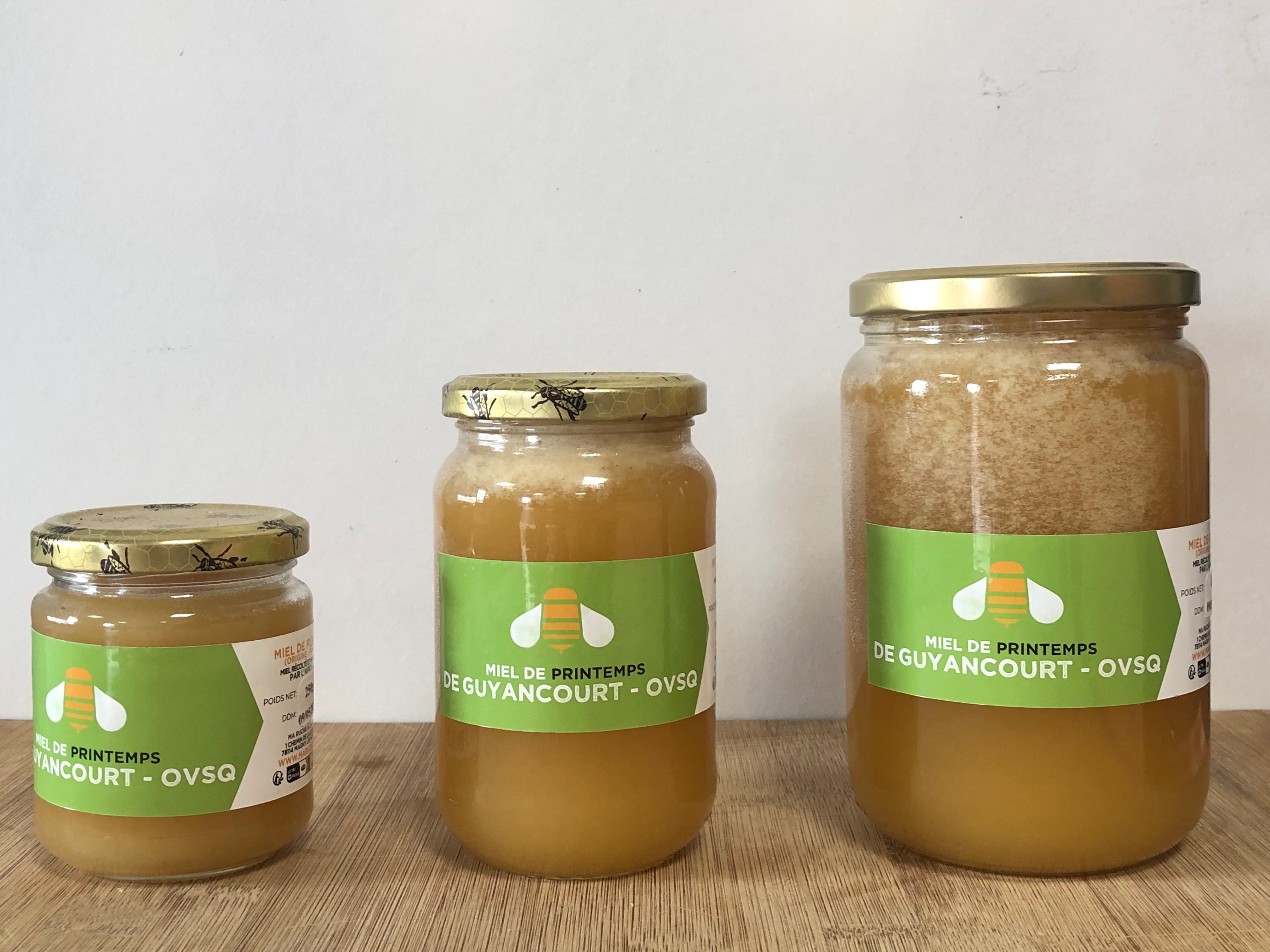 MIEL DE L’OVSQ (Guyancourt) - Fleurs de PRINTEMPS