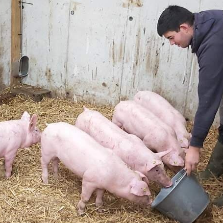 Colis de porc 1/8 environ 10 kg - 10kg