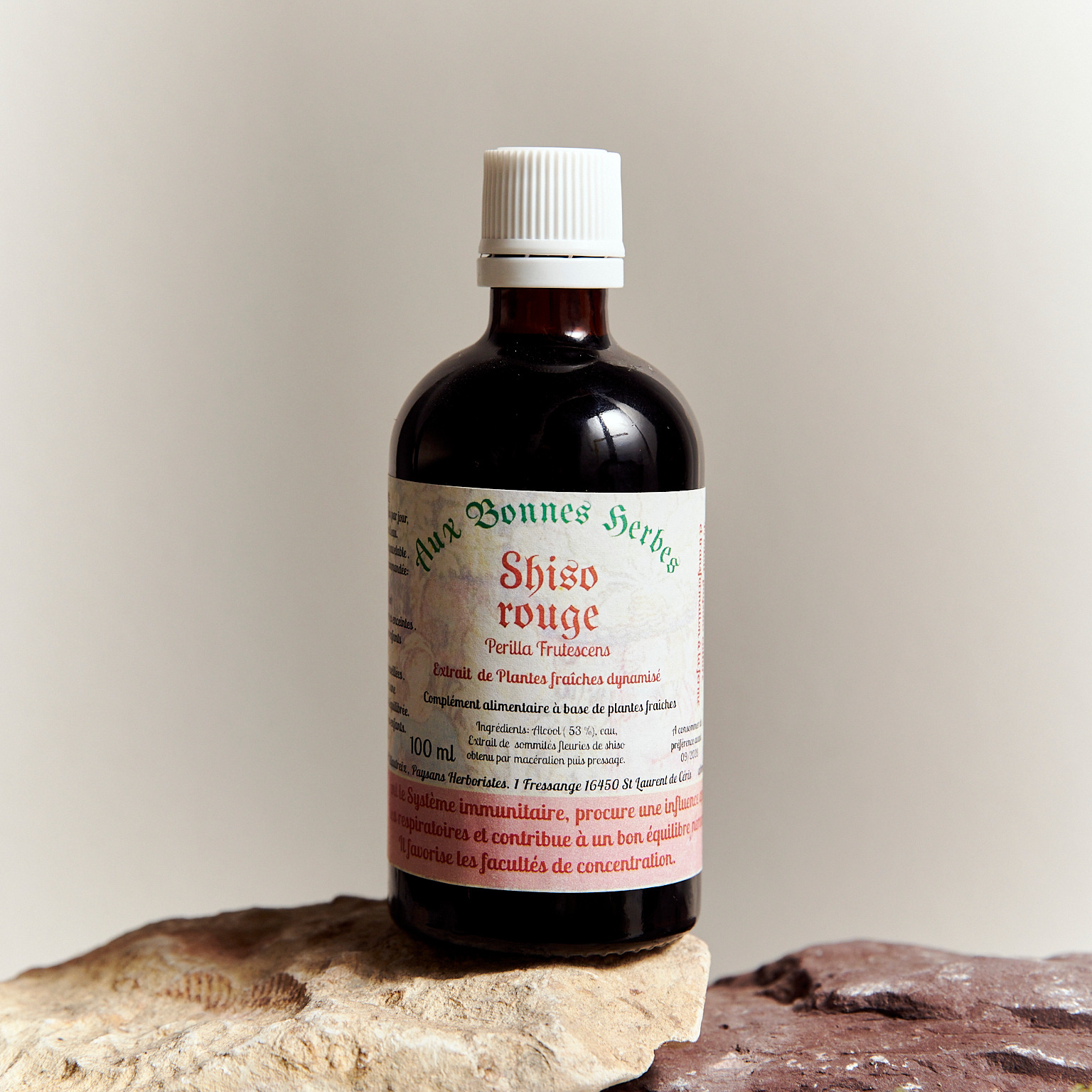 Shiso pourpre - 100ml