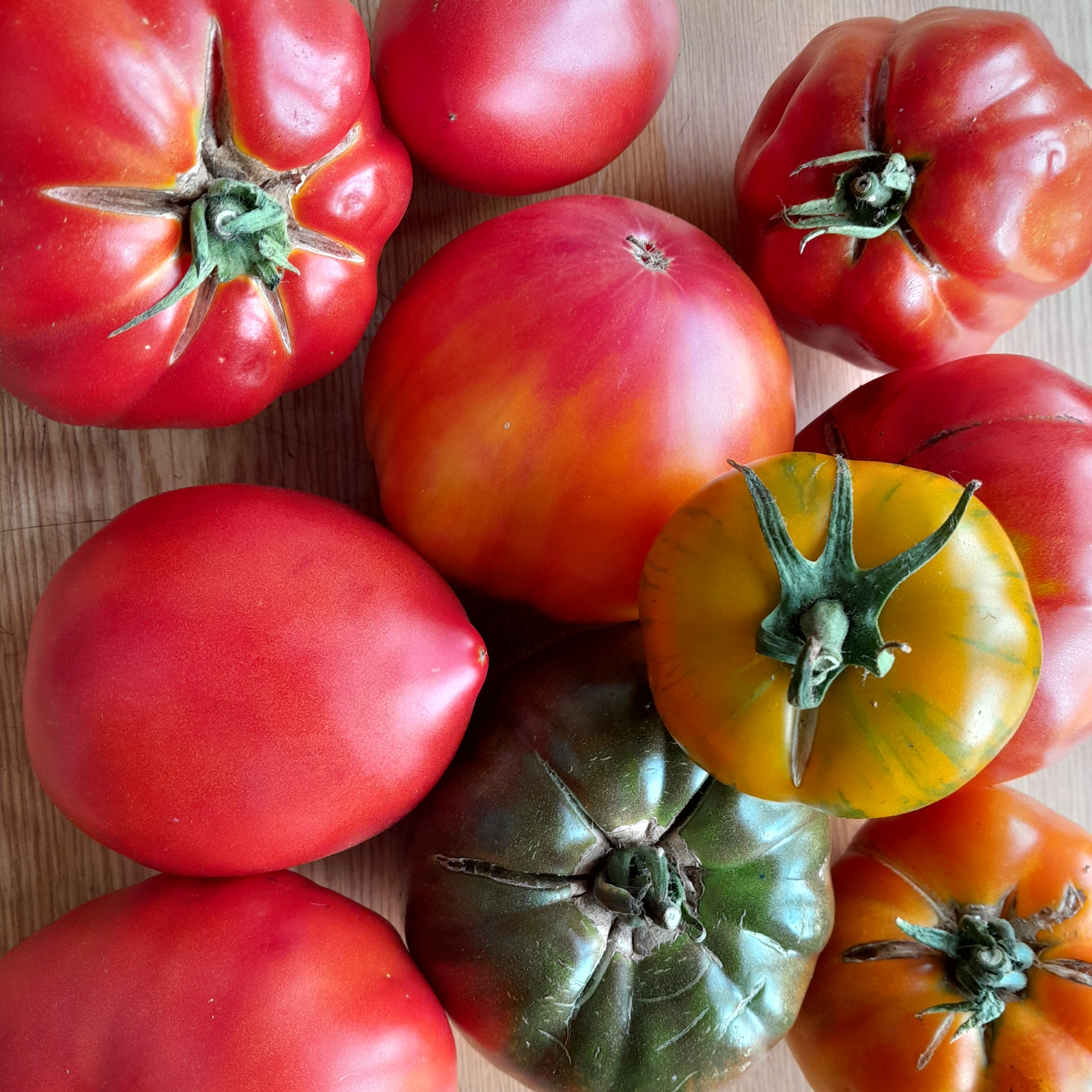 Tomate charnues et colorées