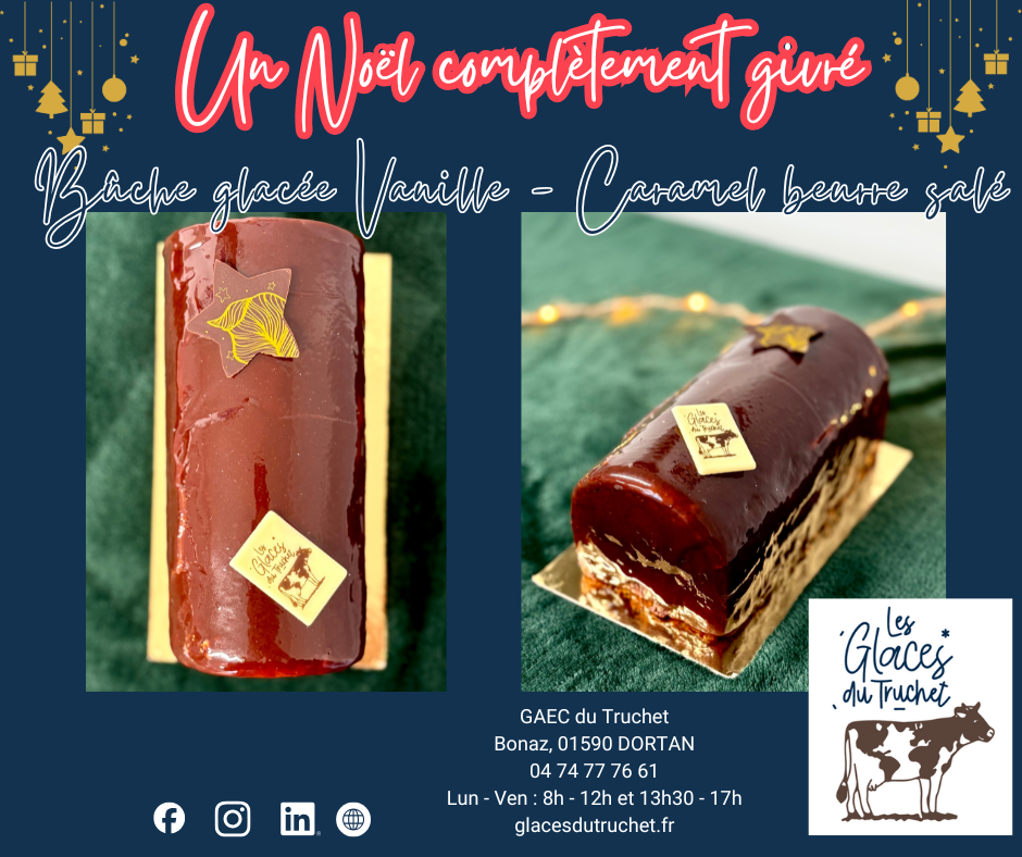 Bûche glacée 10 personnes Vanille/Caramel Beurre Salé