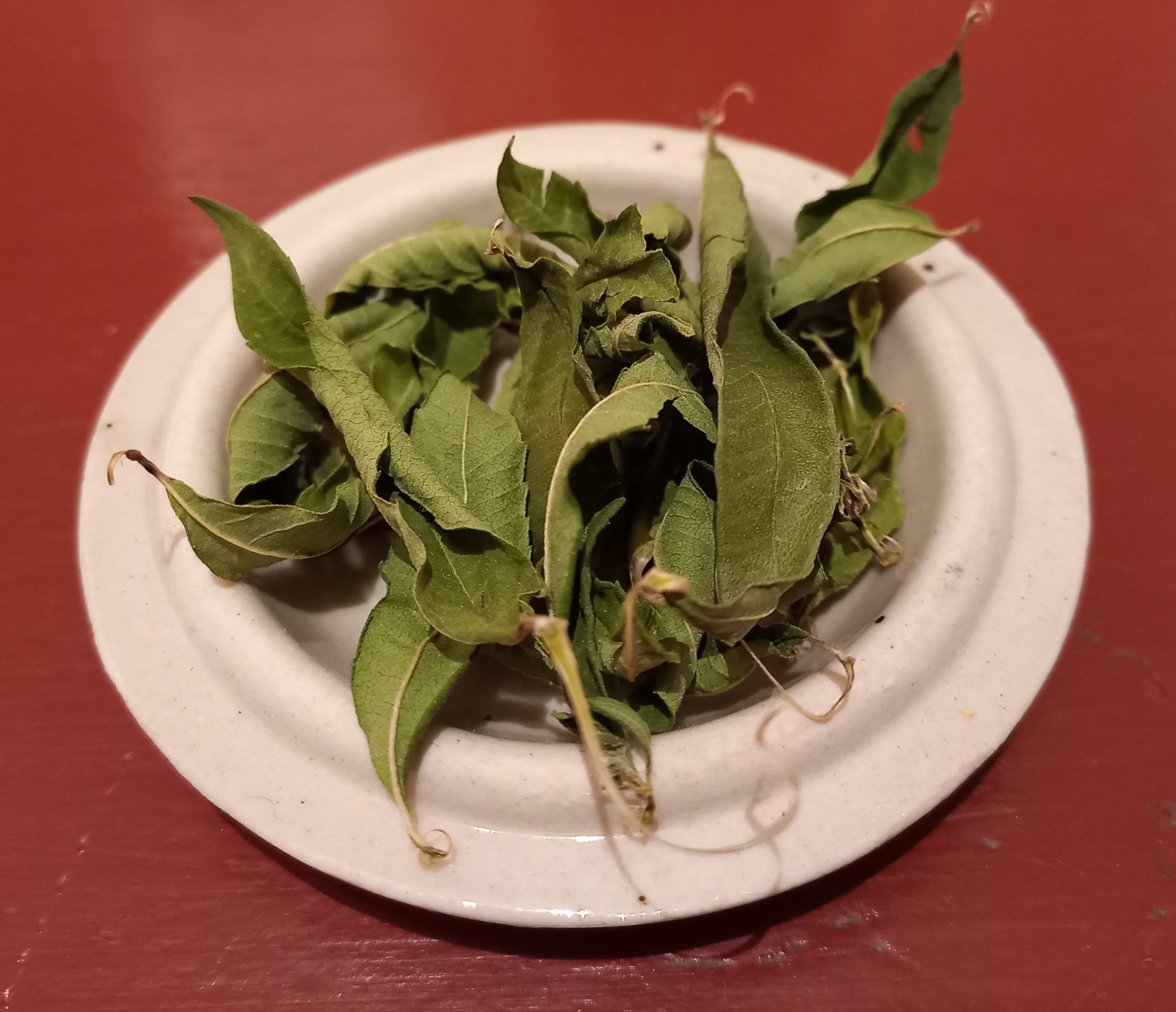 Verveine citronnée - 15g