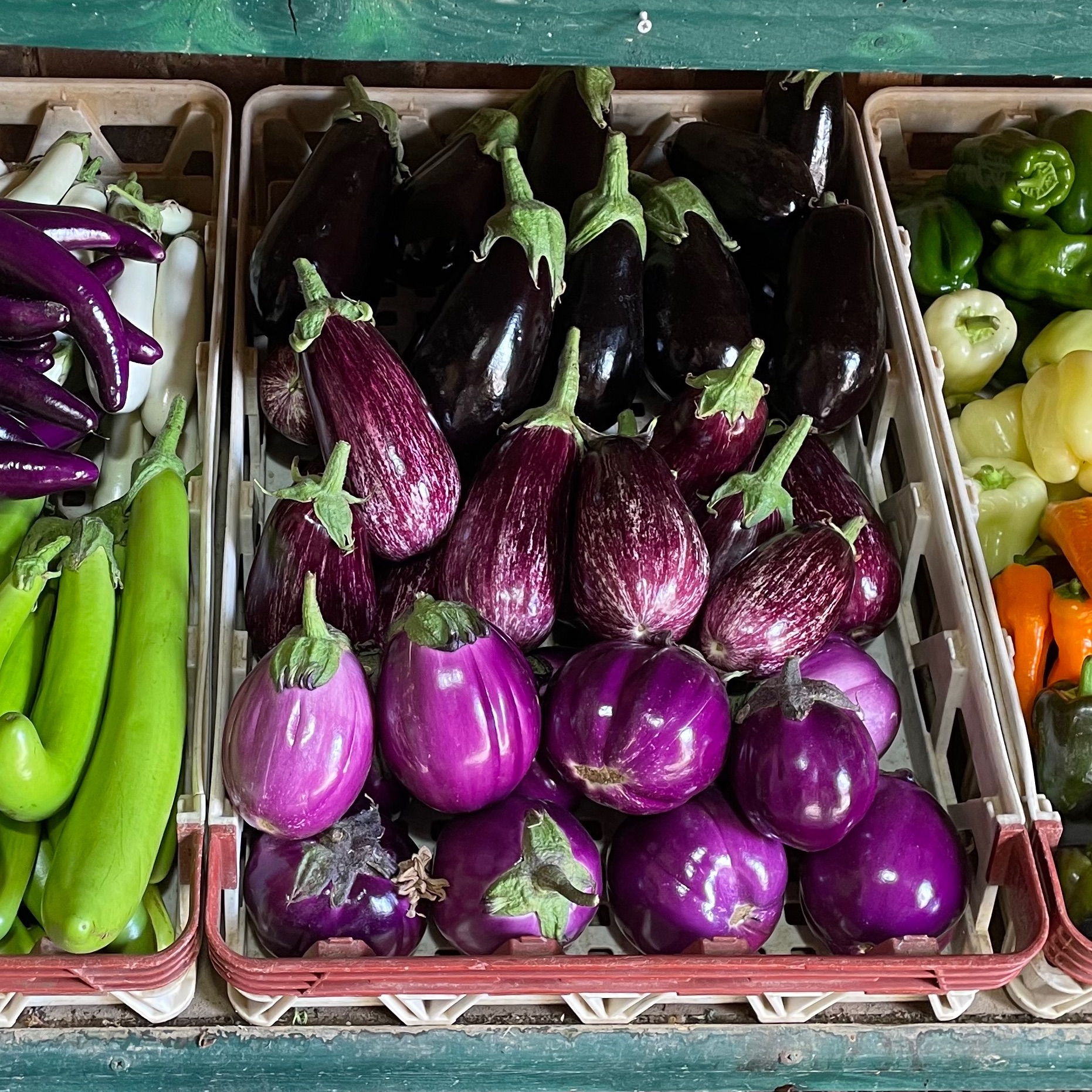 PROMO : 1 kg Aubergines achetées + 500g offertes