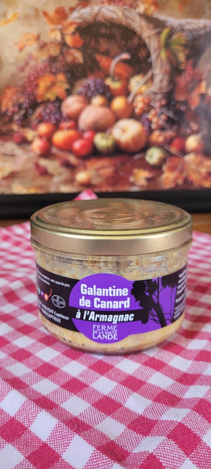 GALANTINE A L'ARMAGNAC