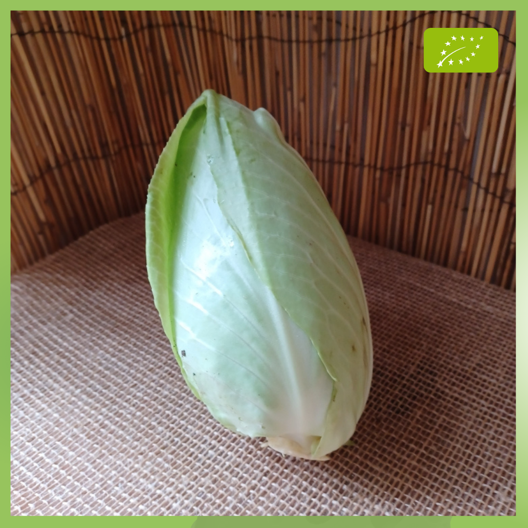 Chou Pointu - 500g