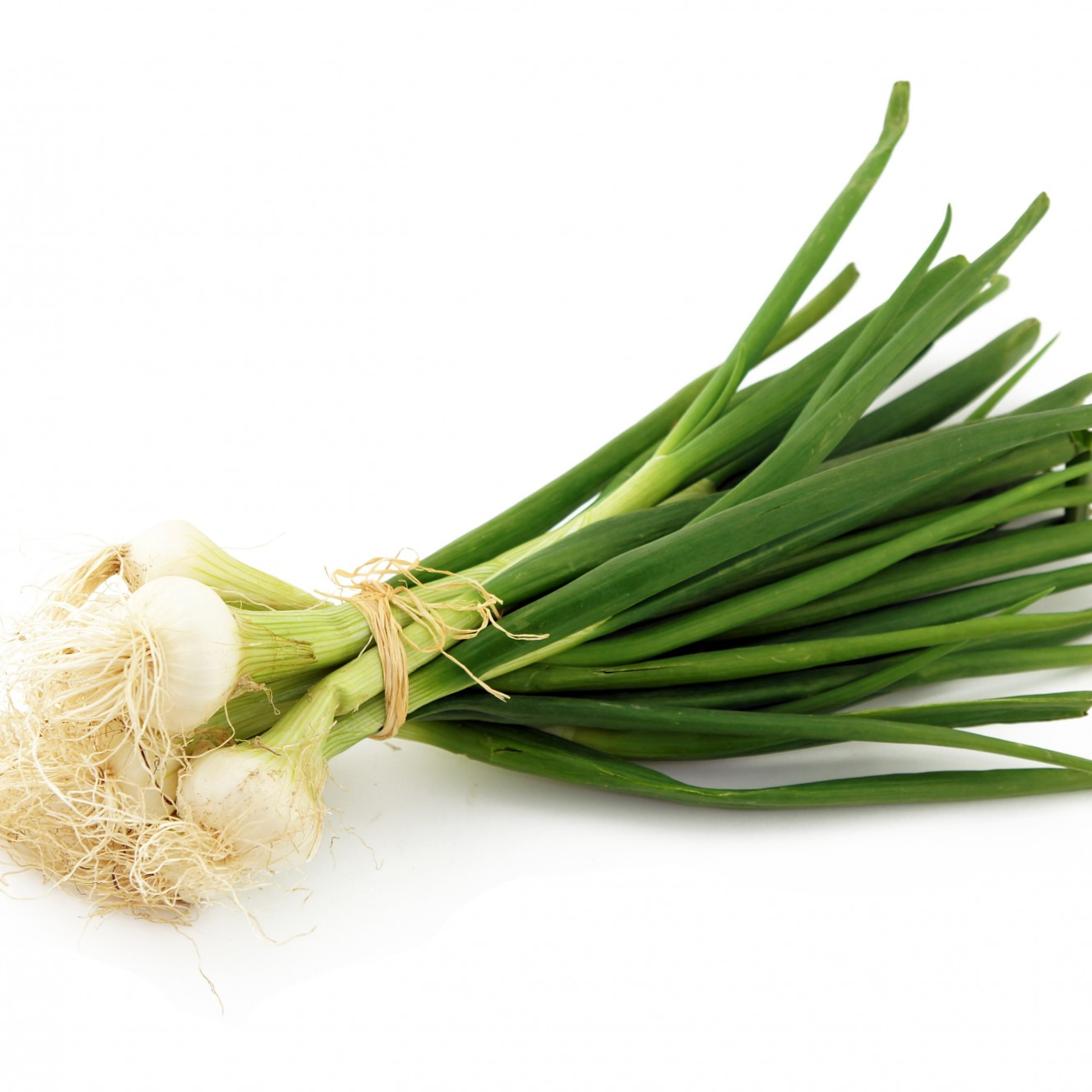 Oignons frais botte