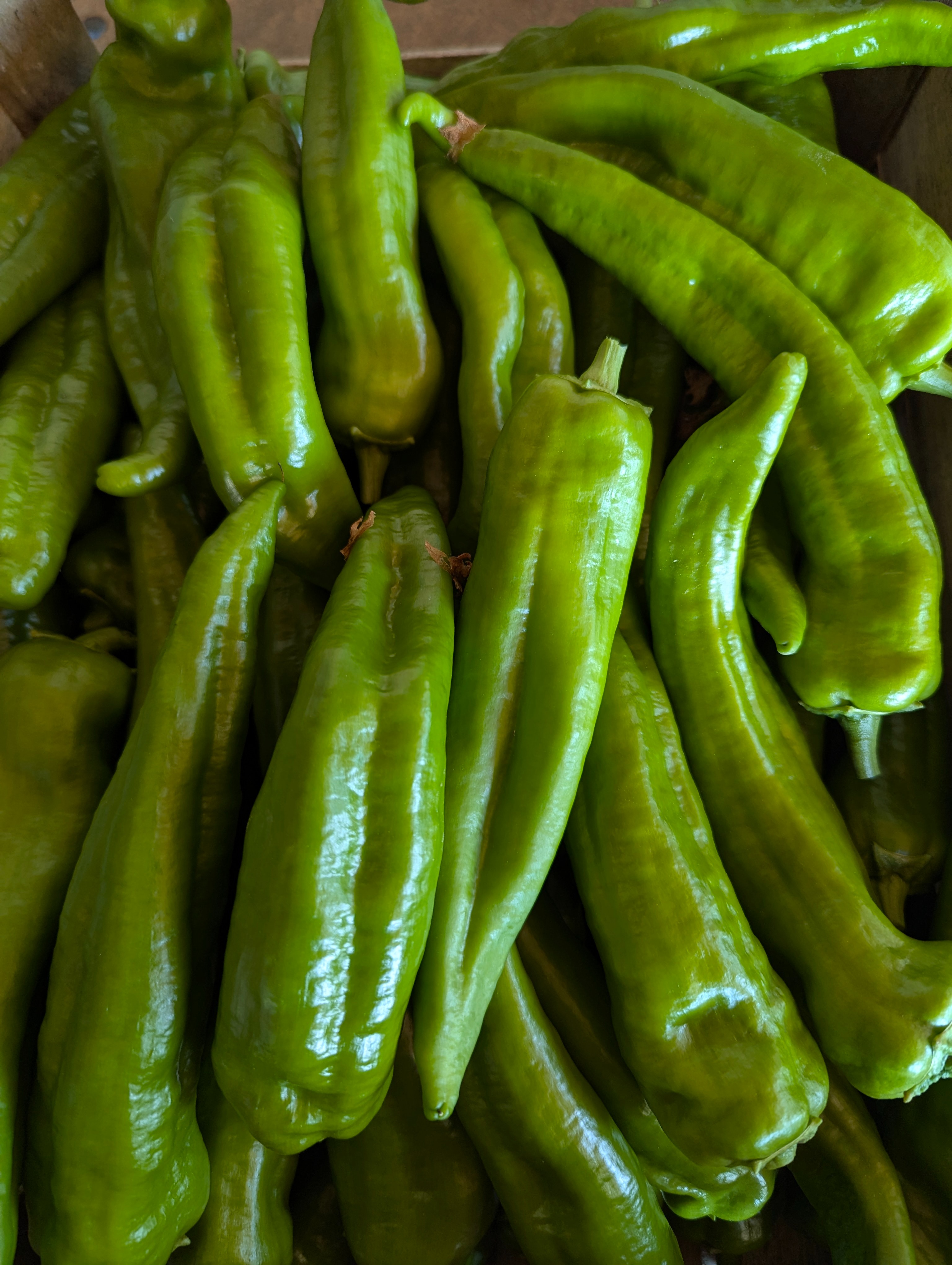 PIMENT LANDAIS VERT DOUX - 250g