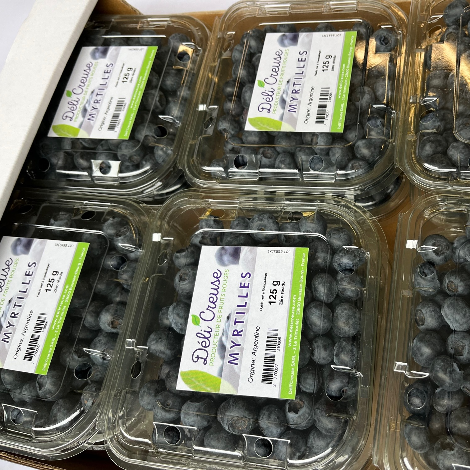 Barquette 125g - Myrtilles cultivées fraiches - 125g