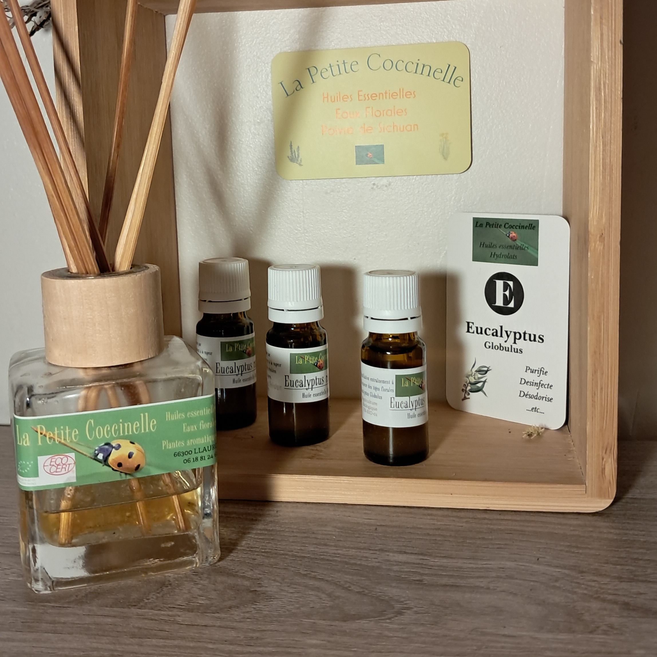 Cadeau eucalyptus grand diffuseur