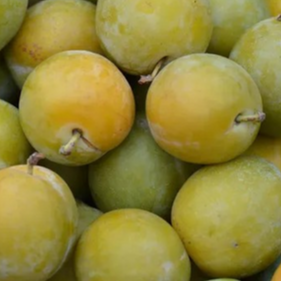 Prunes reine claude - 500g