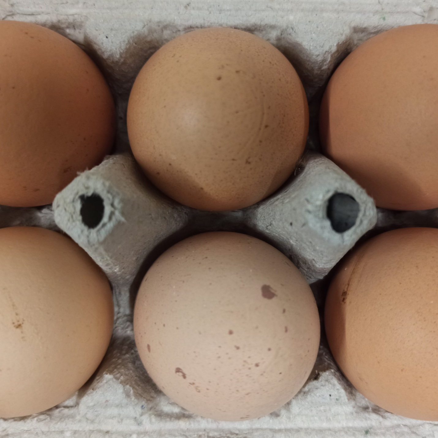 6 Oeufs