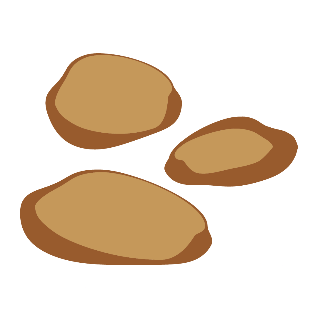 Pomme de Terre ferme Passion