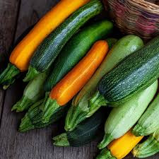 courgettes longues nouvelles
