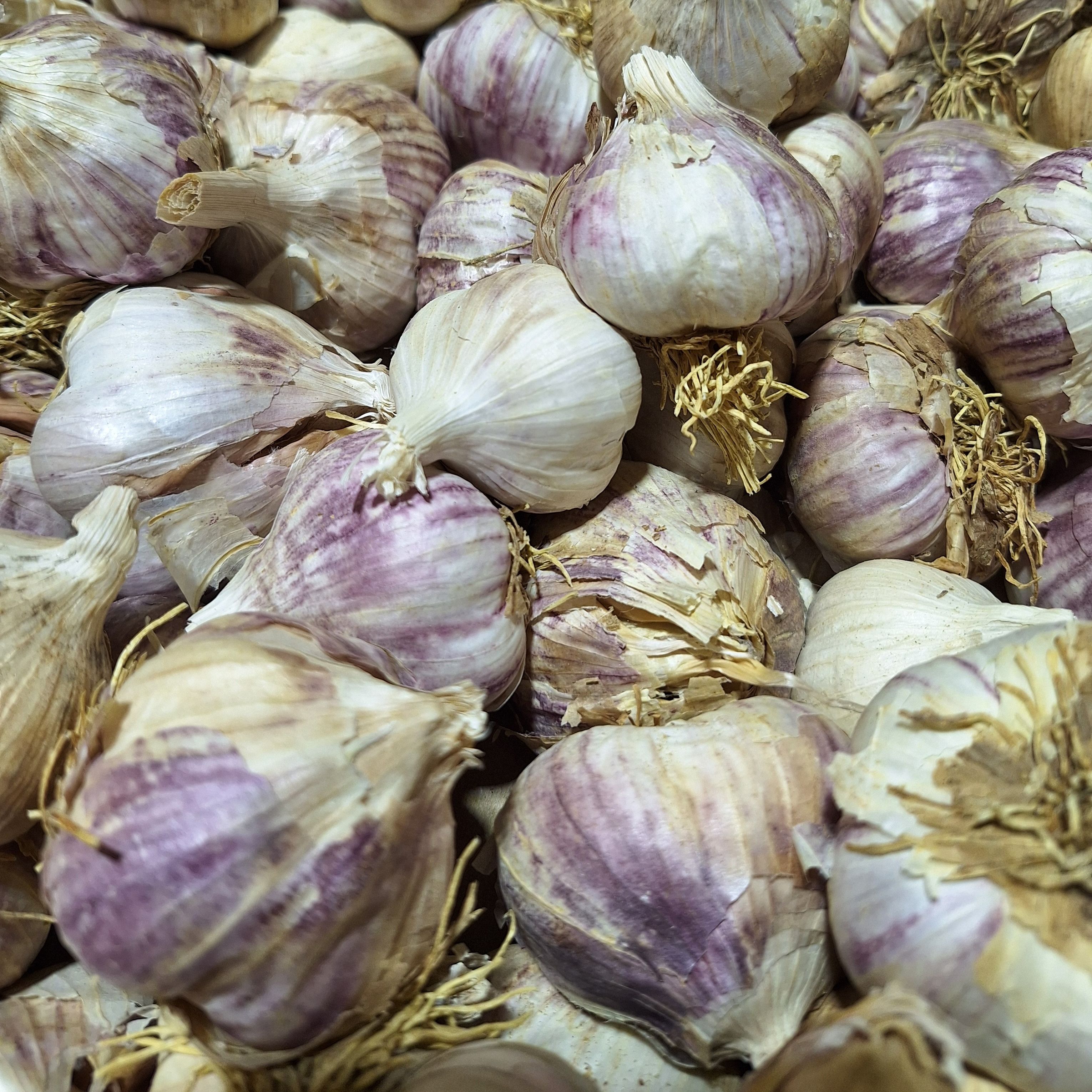 ail au kg