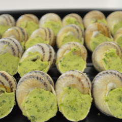 Escargots en coquille à la bourguignone Surgelés  2 dz