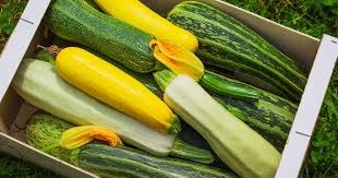 Courgettes