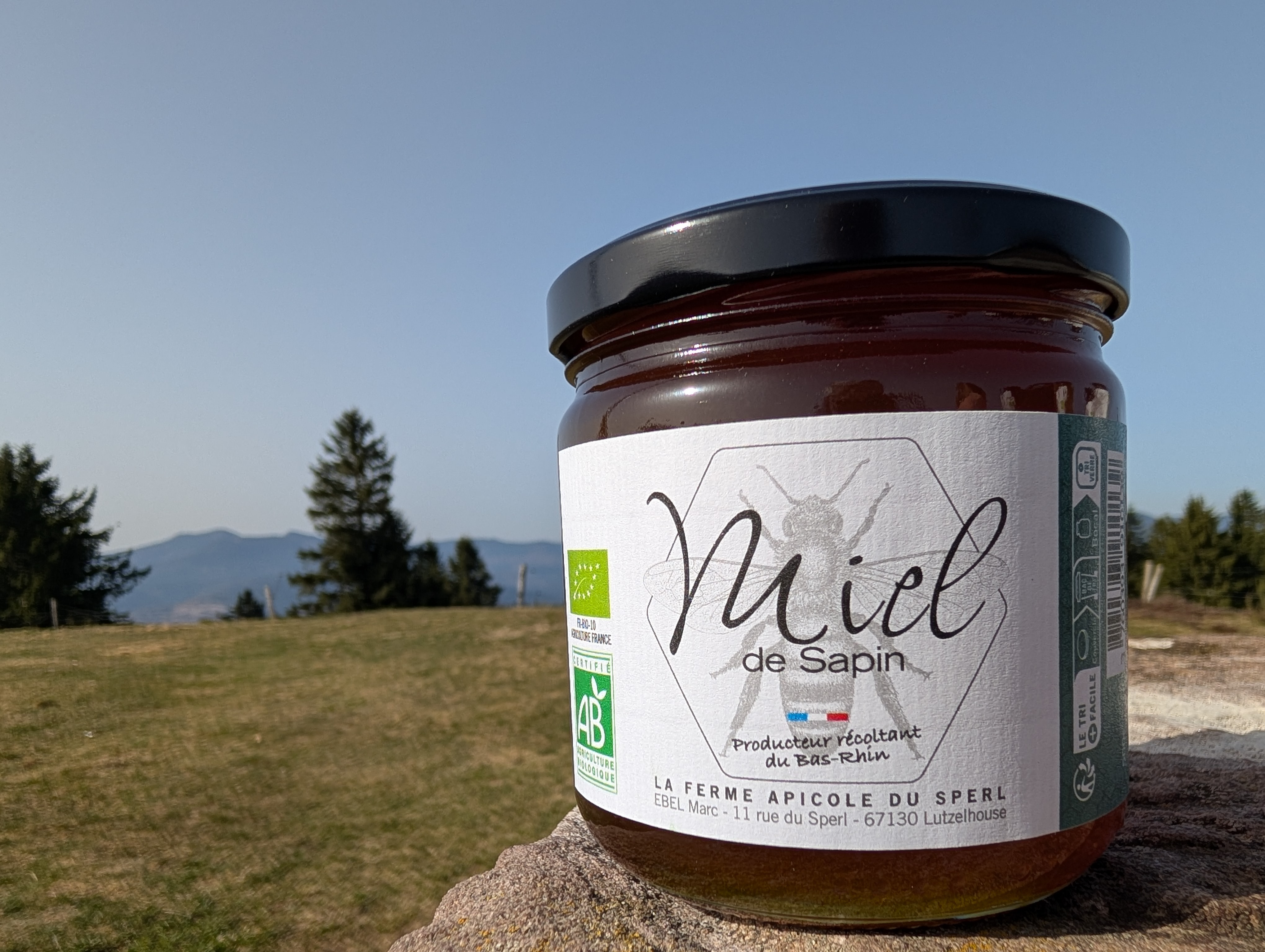 Miel de Sapin - 250g