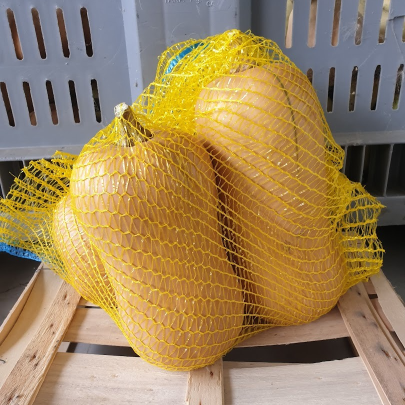 Courge Butternut + de 5kg