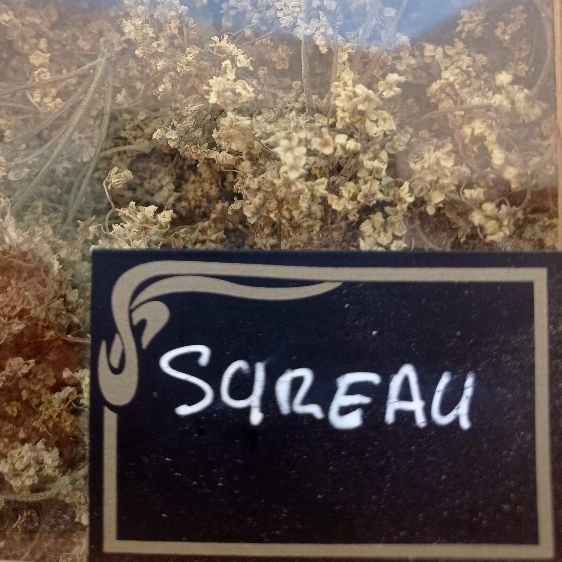 Sureau noir sachet de 25 g