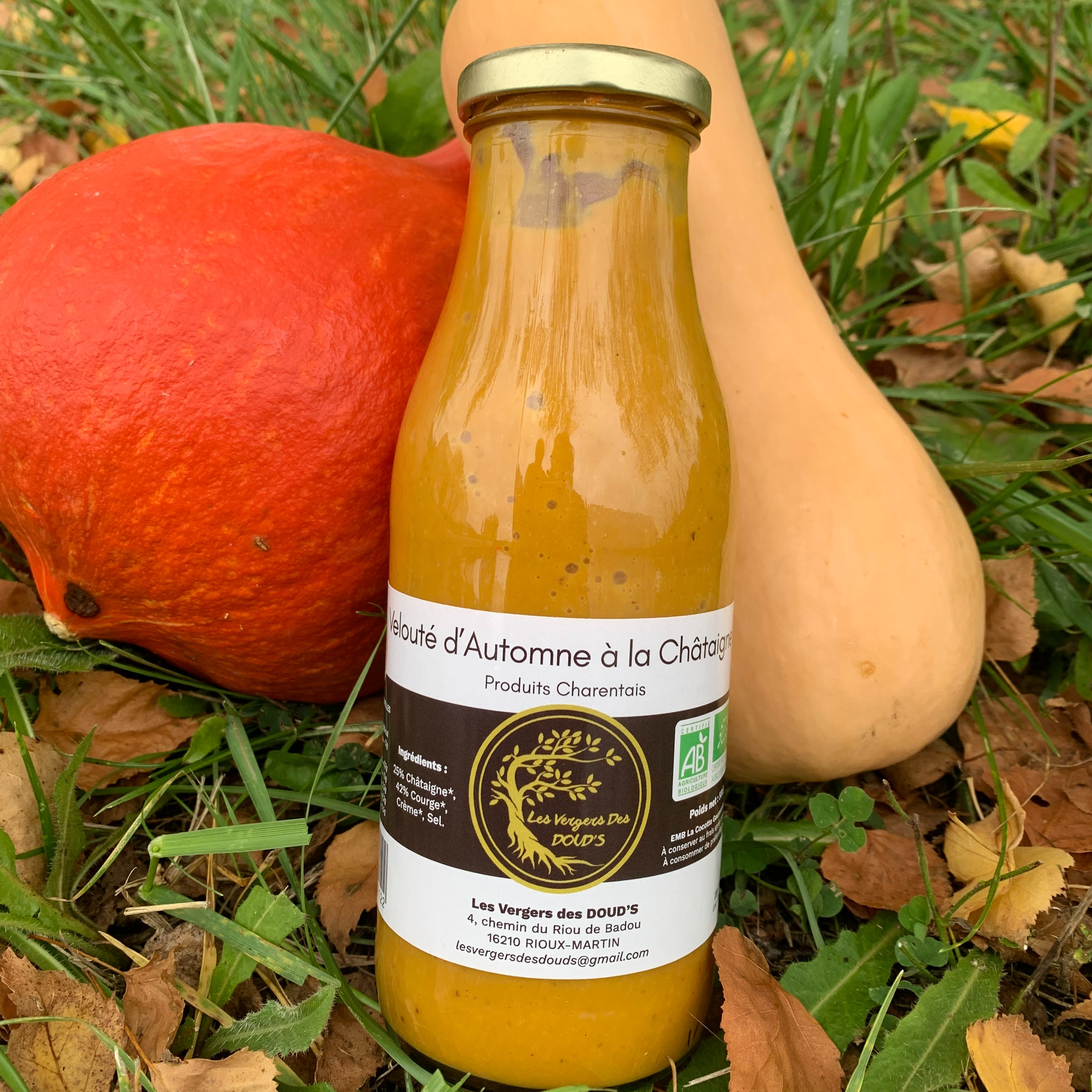 Velouté d’automne à la châtaigne, 0,5 L