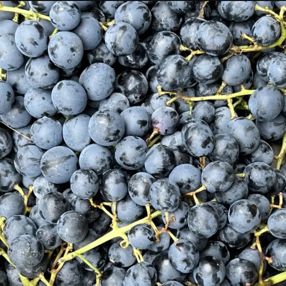 Raisin noir Muscat de Hambourg - 400g