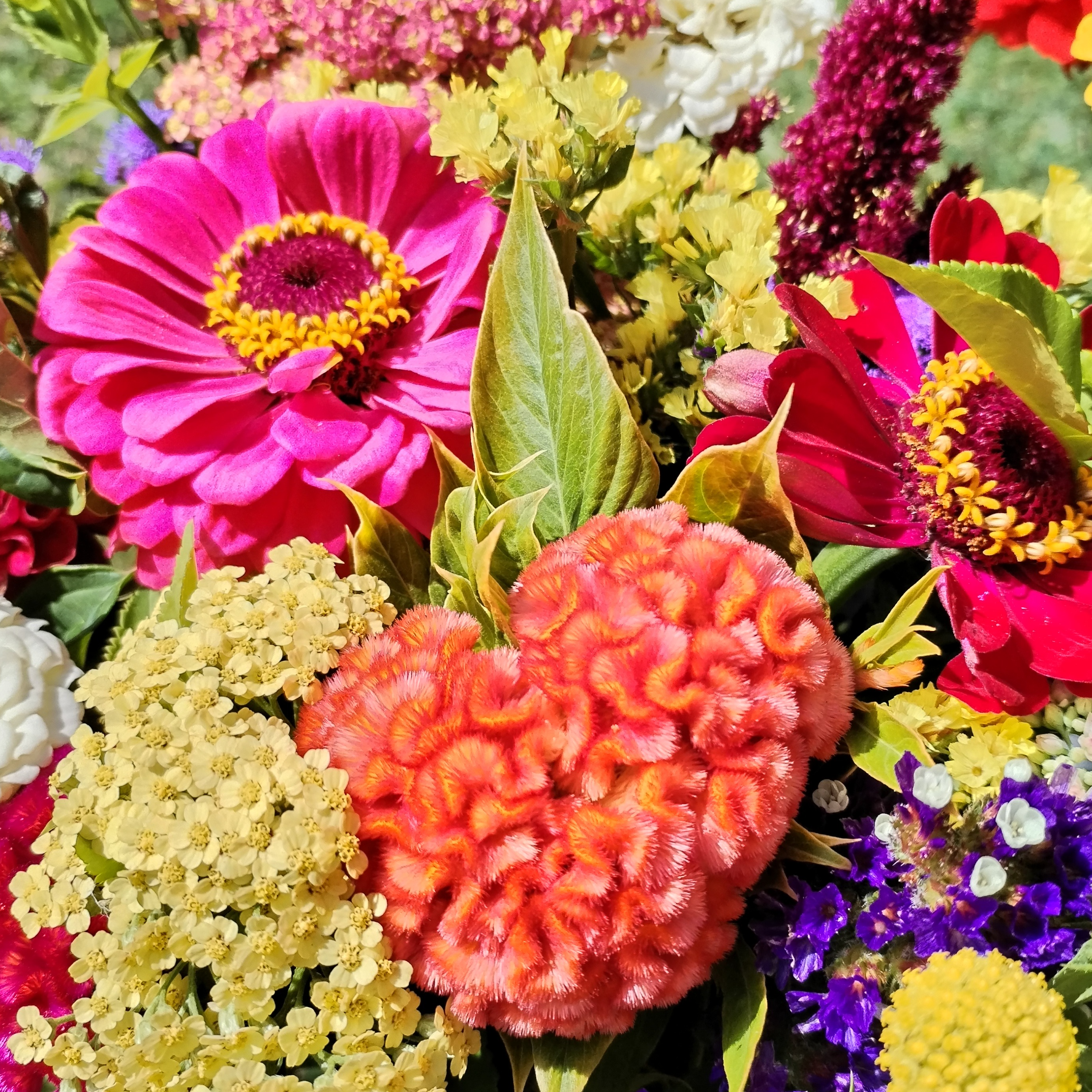 Bouquet Taille M - "Mejan" - 15cm env.