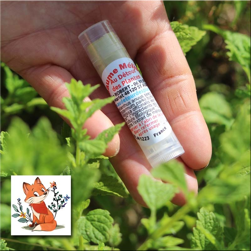 Baume à lèvres à la Mélisse - 5g