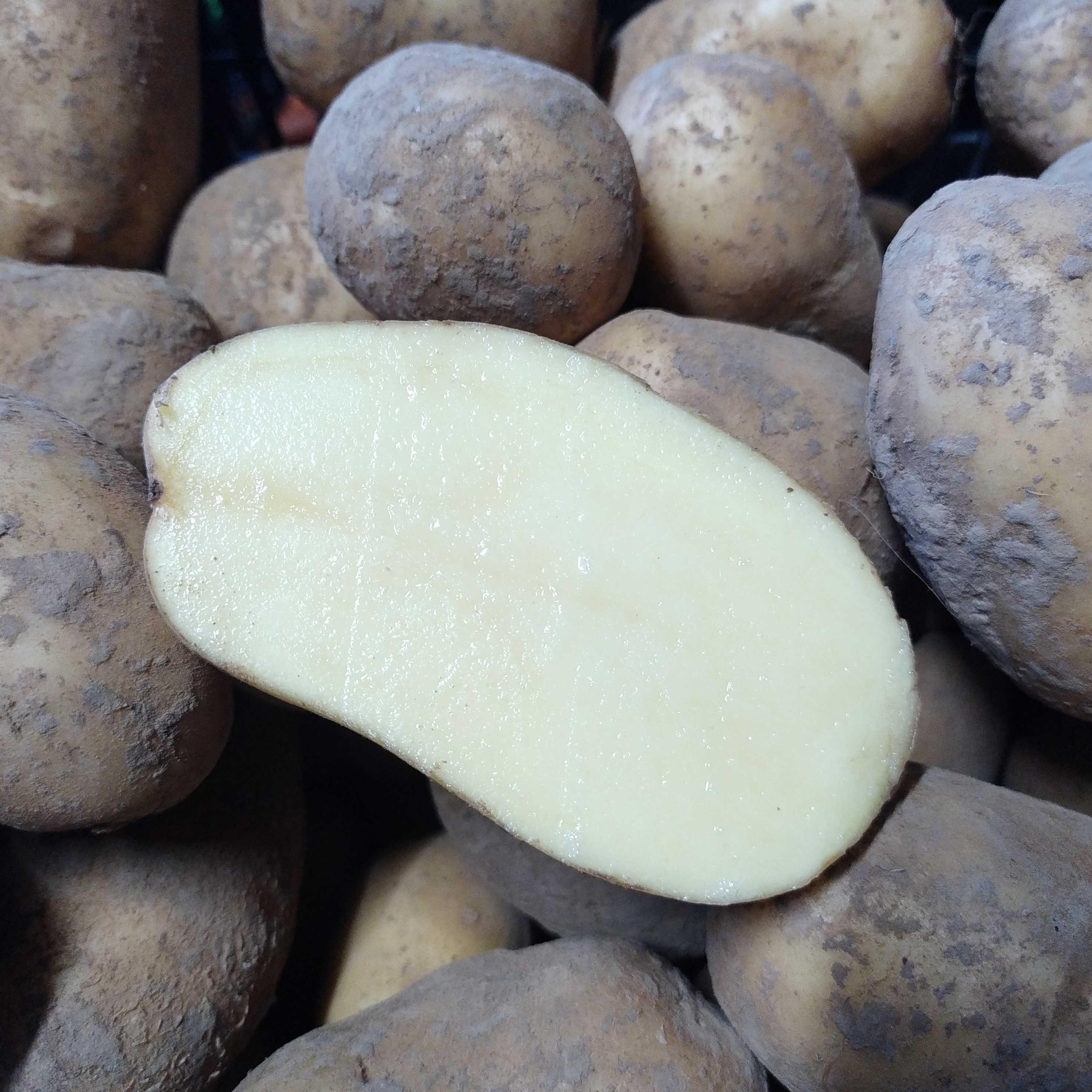 Pomme de terre tendre - 1kg - 1kg