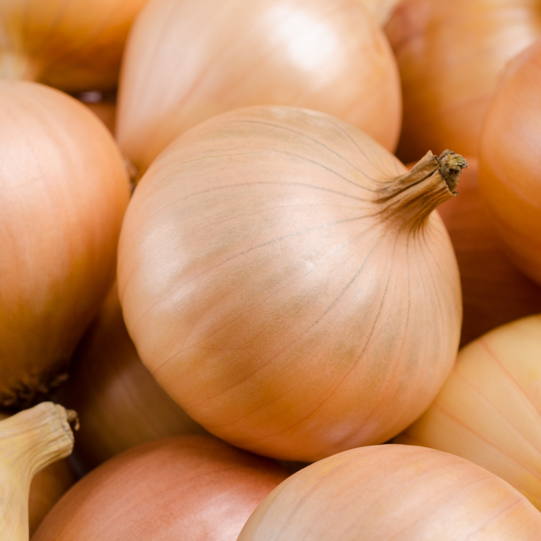 Oignon