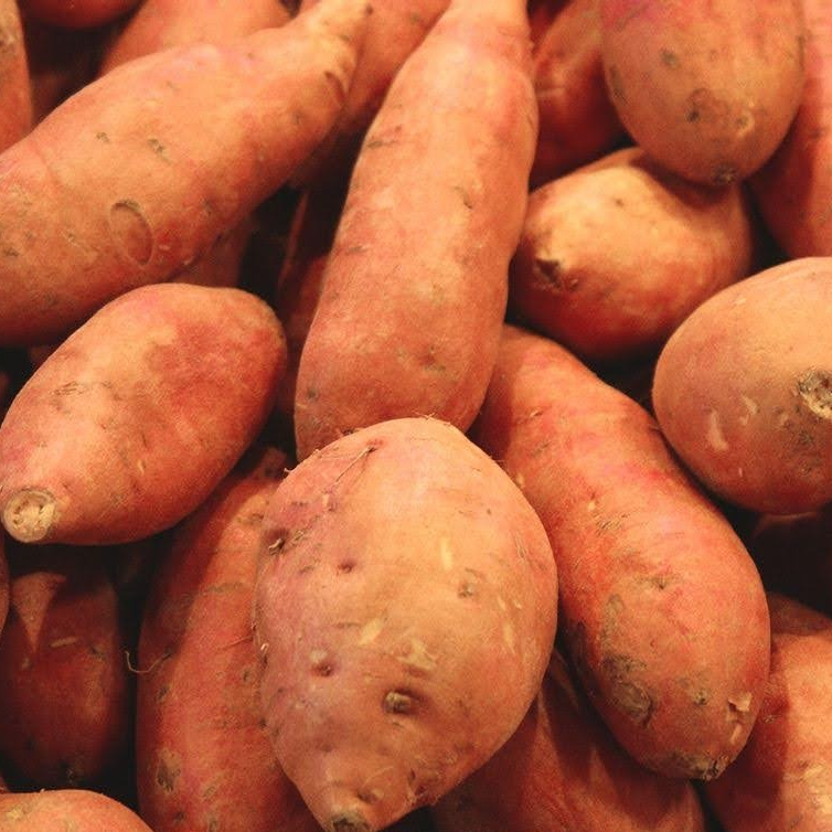 Patate Douce