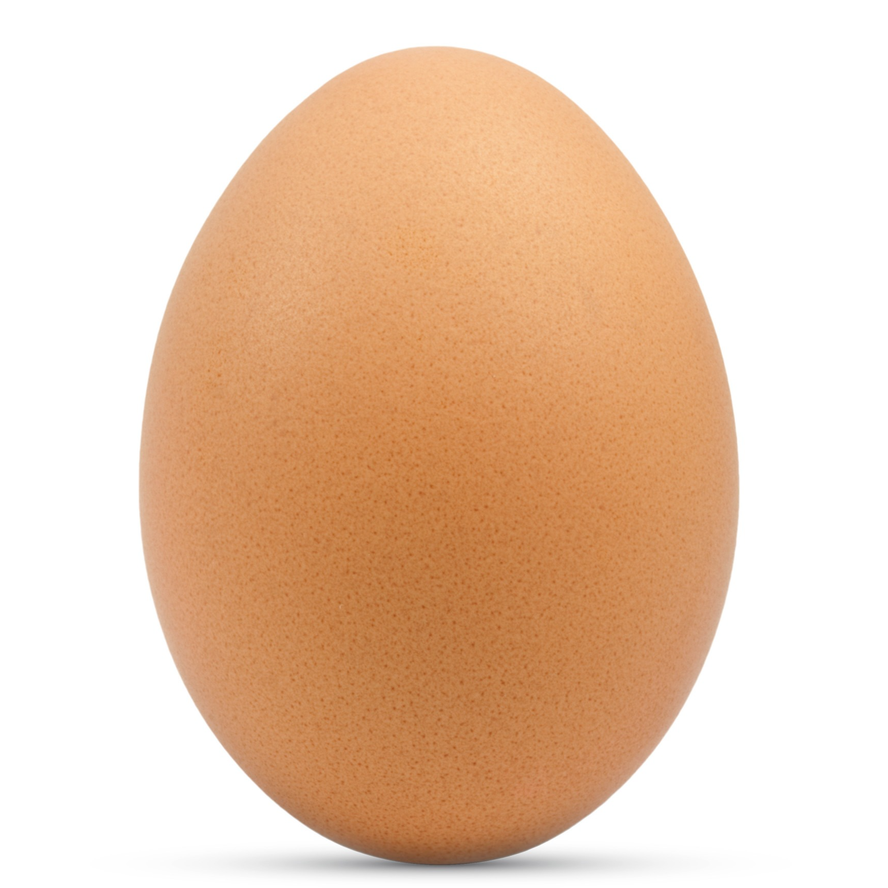 Oeuf Bio (à l'unité)