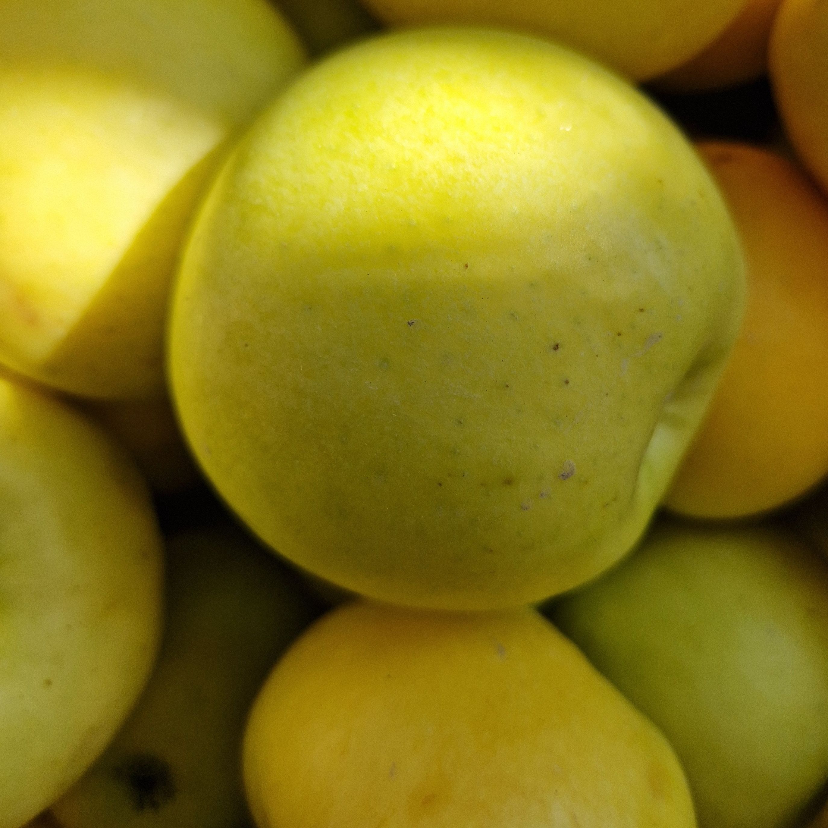 POMME JAUNE