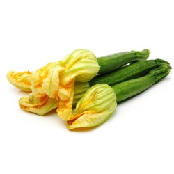 Fleurs de courgettes (X6)