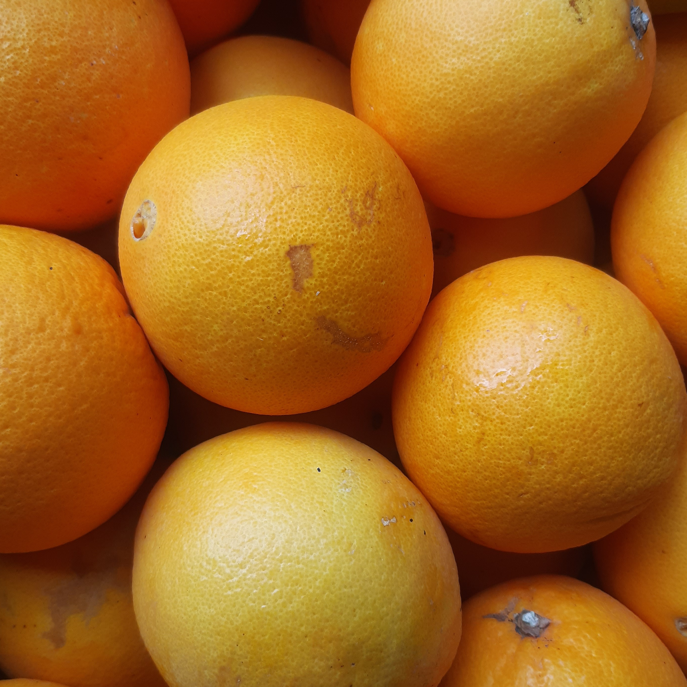 ORANGE NAVEL ITALIE - 500g