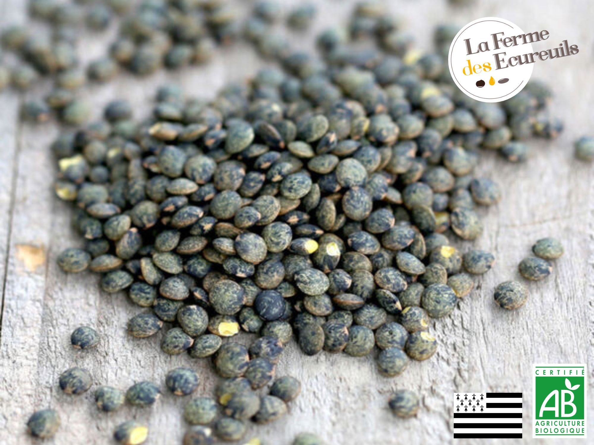 Lentilles vertes, vrac