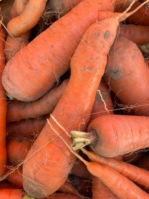 Carottes vrac - 1kg