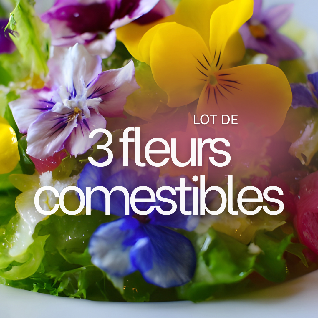 LOT DE 3 FLEURS COMESTIBLES