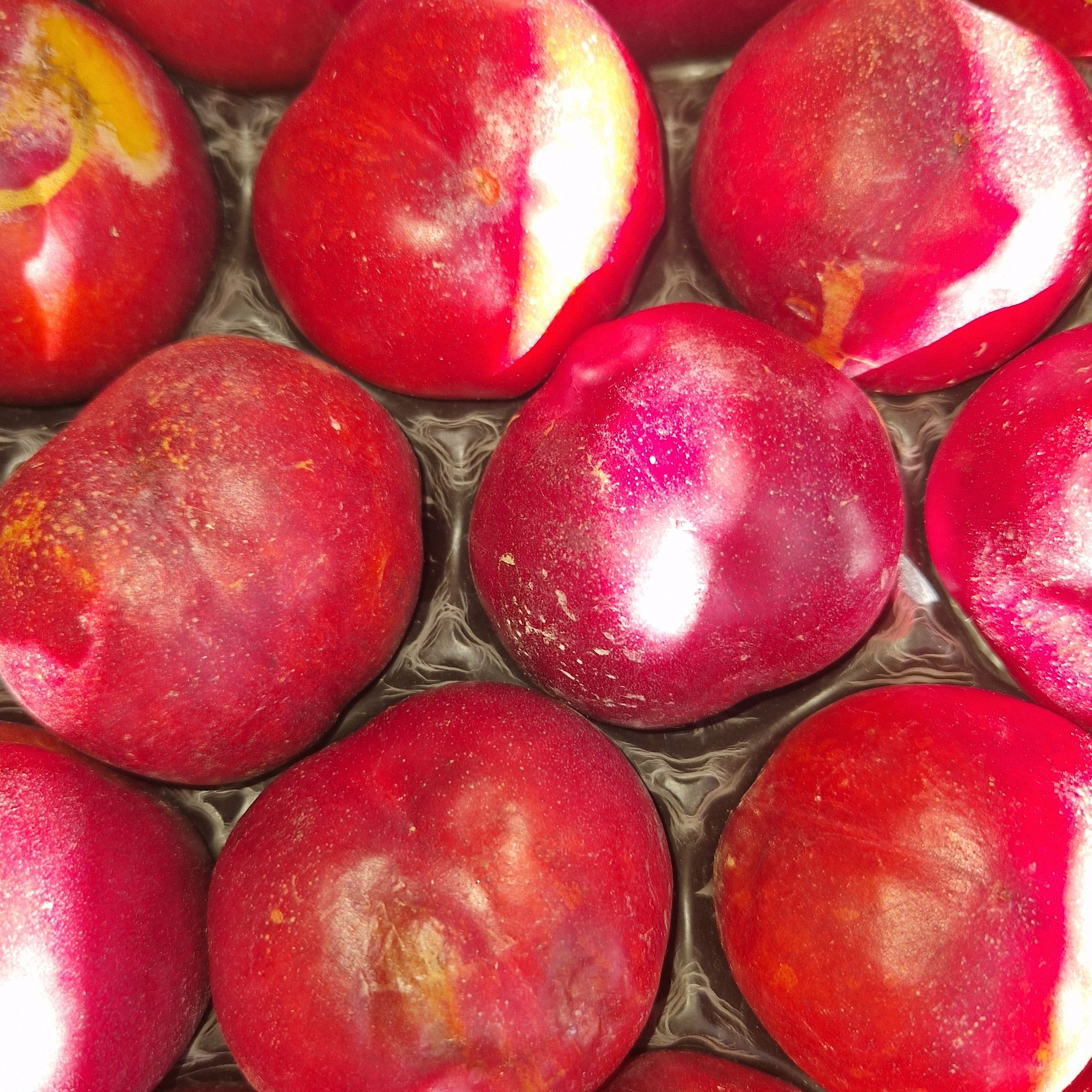 NECTARINE