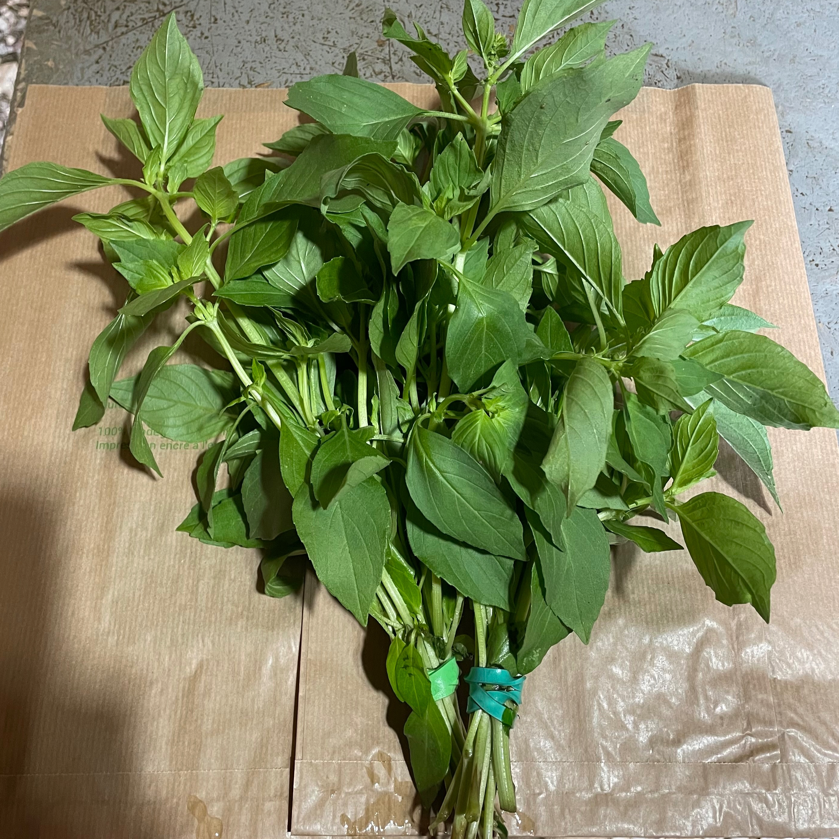 Basilic citron (bouquet 6/8 brins)