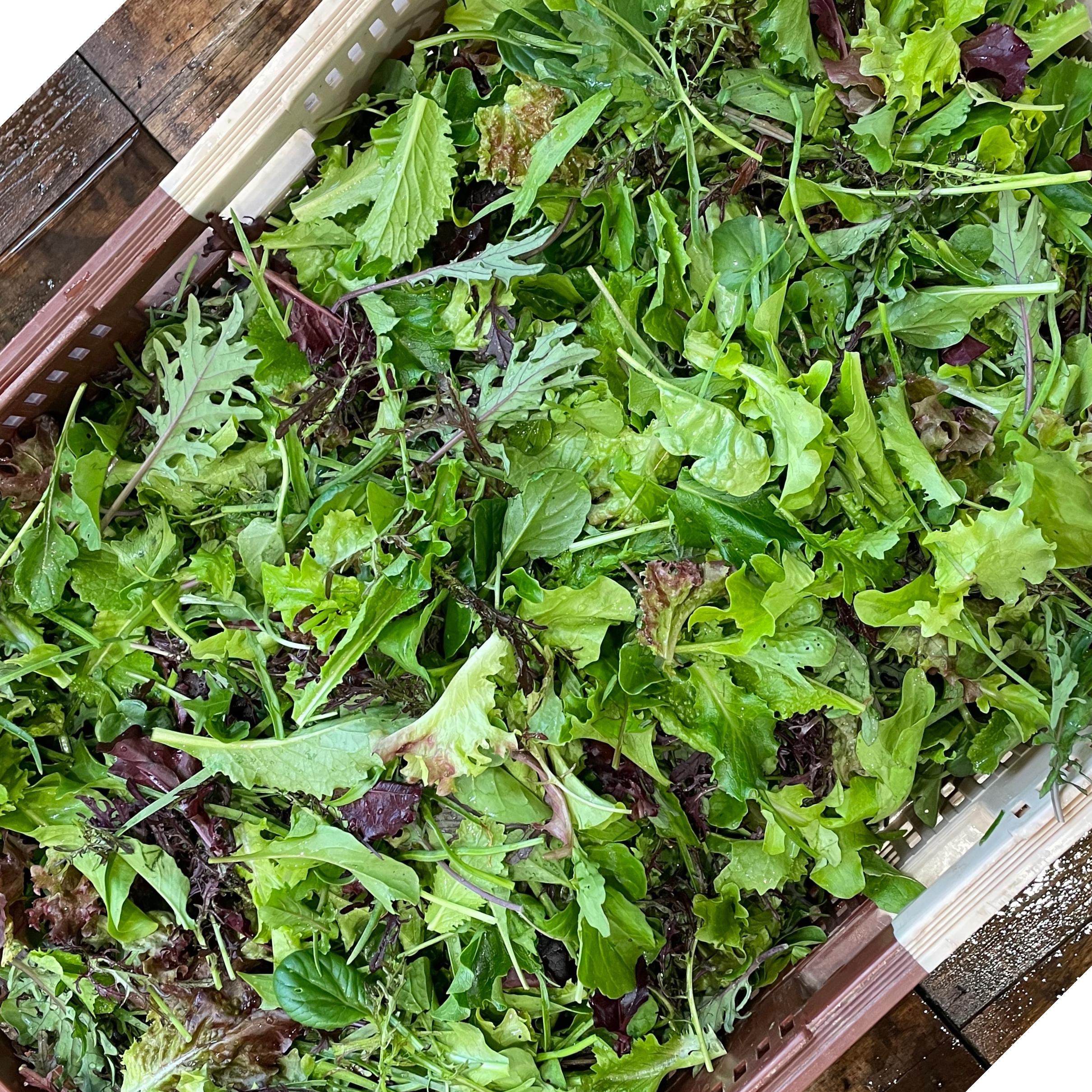 Mesclun - 250g