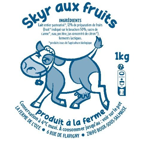 Skyr Vanille 500g