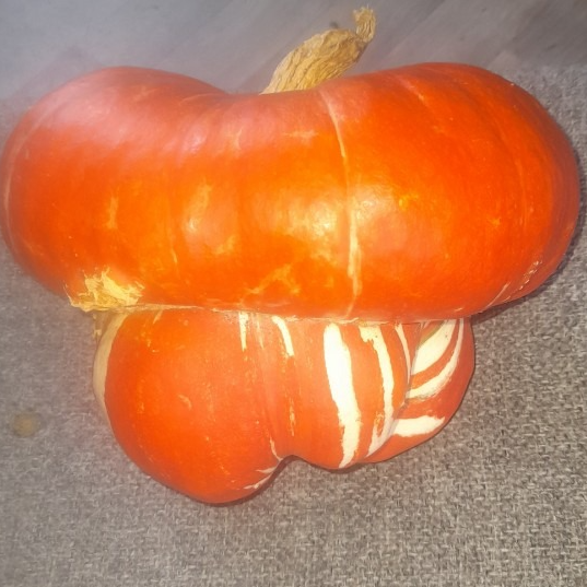 Courge Turban - 1,5kg