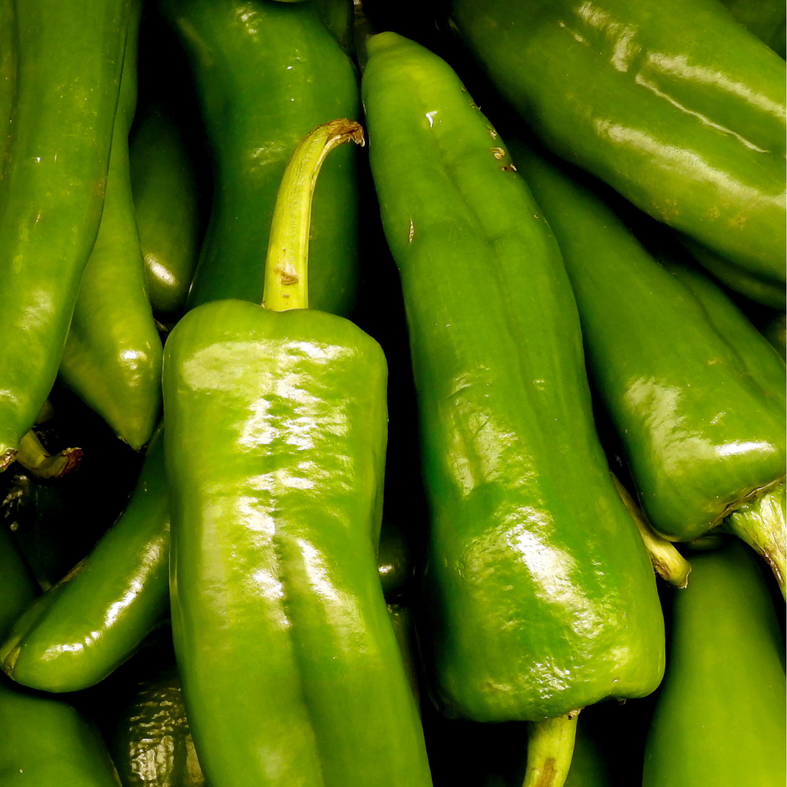 Piment espelette frais vert (unité)