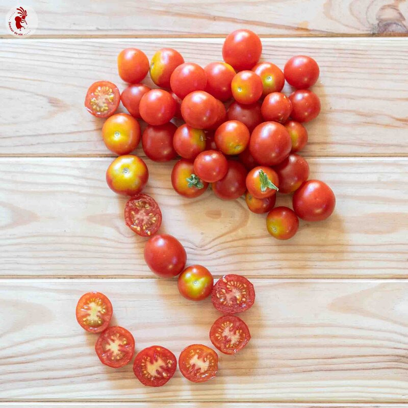 Plant de Tomate Cerise - Délice du Jardinier
