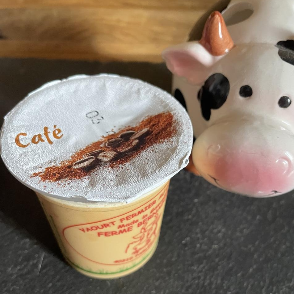 YAOURT AROMATISE CAFE - 12cl