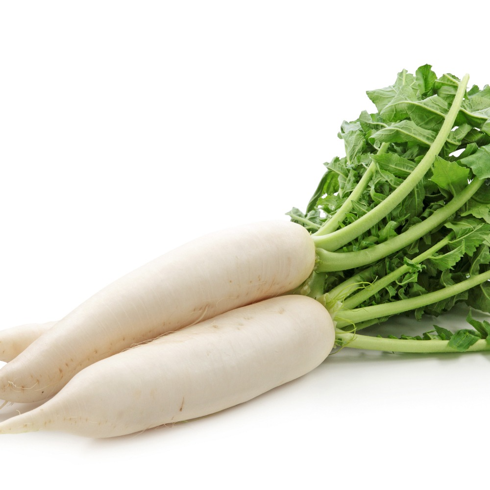 Radis de chine blanc