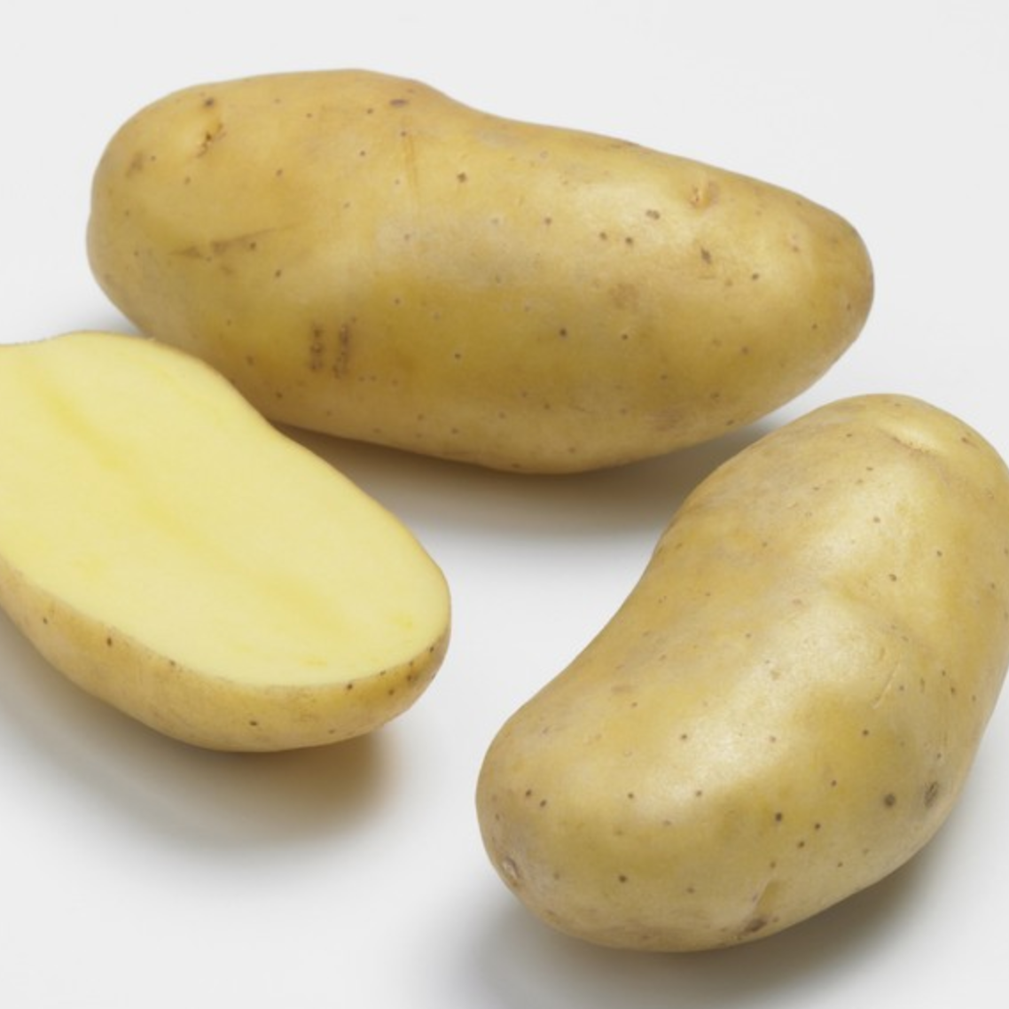 Pomme de terre Delikatess