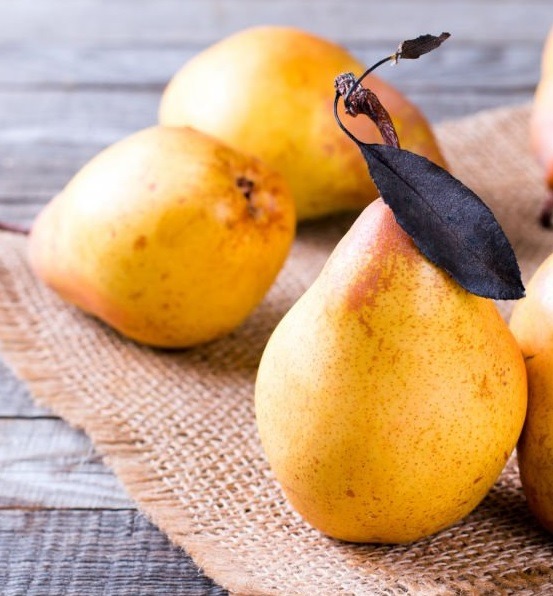 Poire doyenne du comice