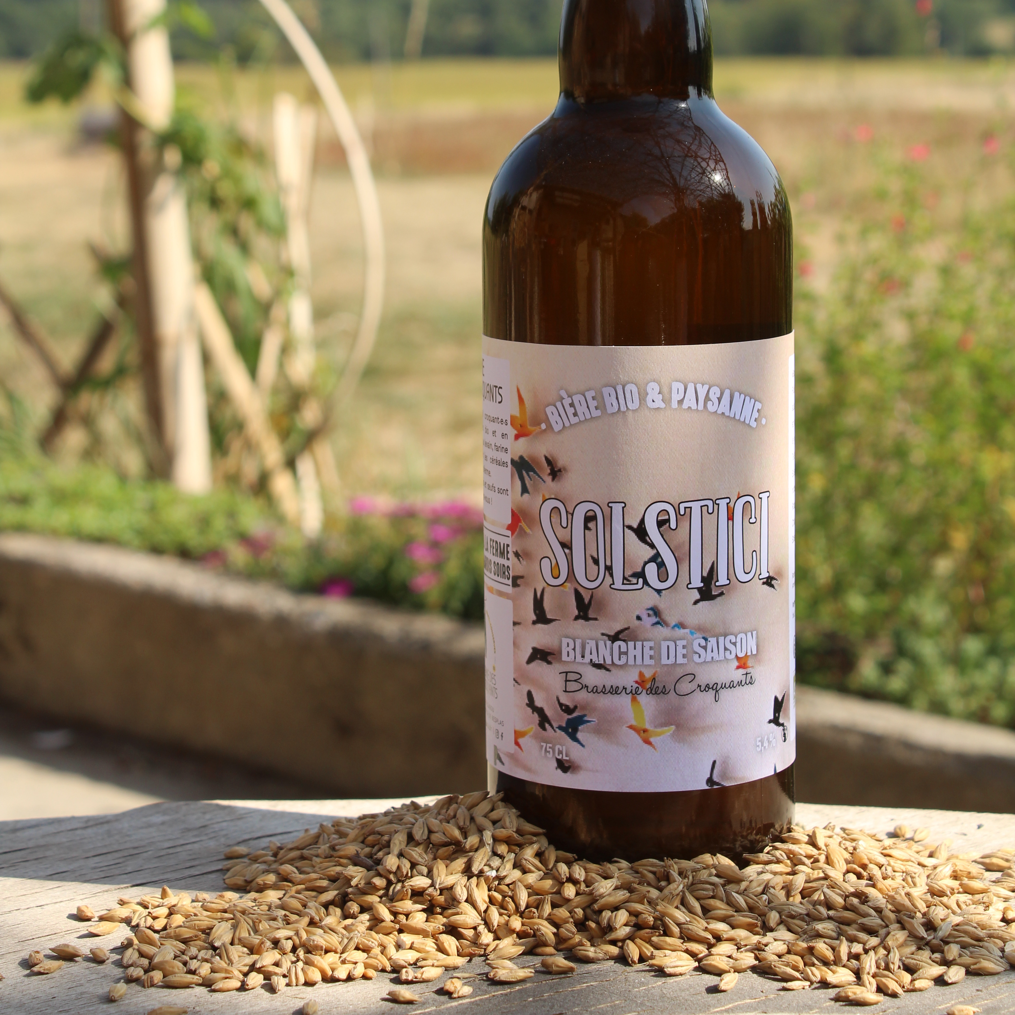 Blanche de saison - Solstici